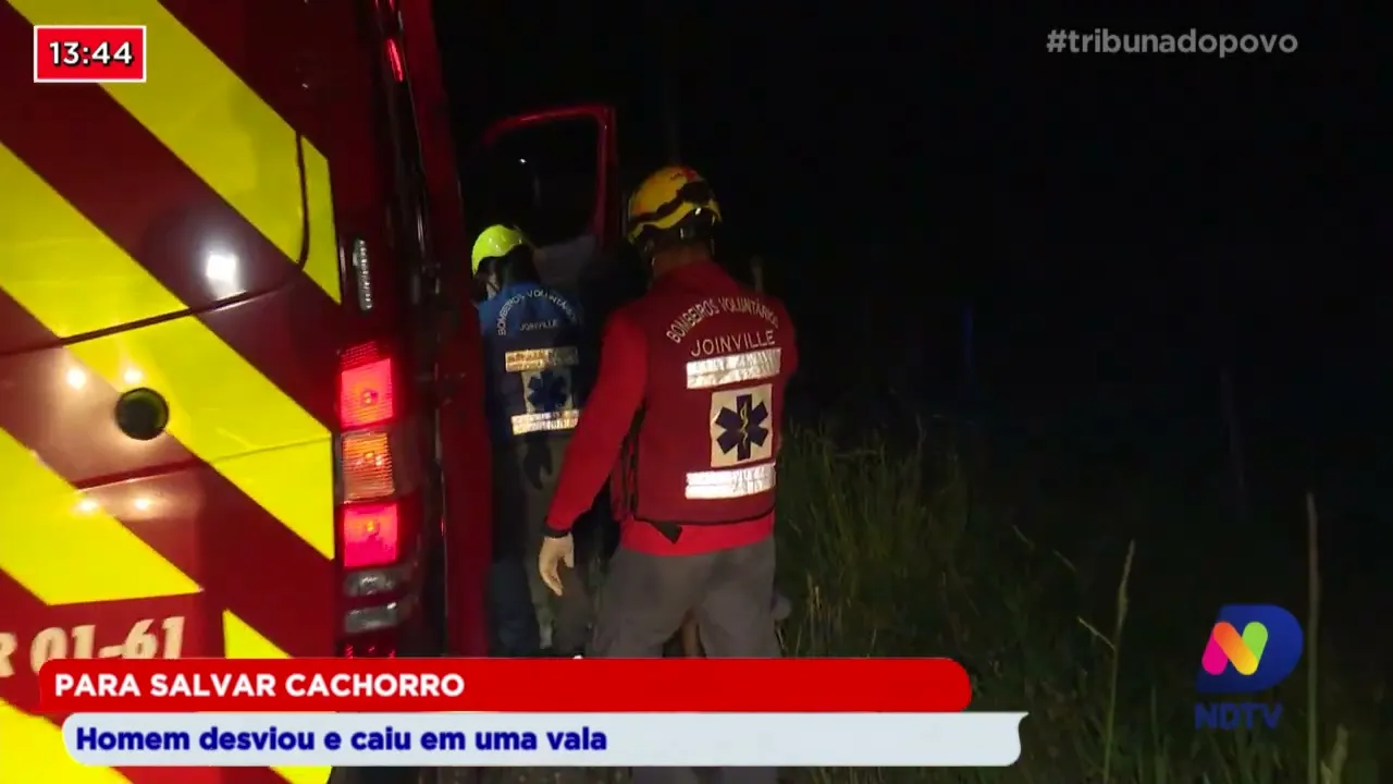 Para salvar cachorro homem desviou e caiu em uma vala