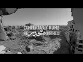Roger Waters Mona Miari - Comfortably Numb Re-Imagined