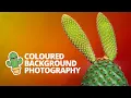 Coloured Background Macro Product Photography Tutorial
