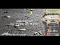 BIARKANLAH - YUZARSIV (Official Music Video lyrics)