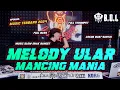 Download Lagu DJ SLOW MELODY ULAR MANCING MANIA REMIX LAMPUNG FULL BASS AYING ADI || BUJANG ORGEN LAMPUNG 2024