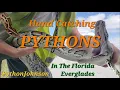 Python Hunting In The Florida Everglades - Ep 8