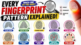 Every Fingerprint Type Explained What Your Fingerprints Reveal