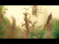 Be Still – Peaceful Piano (Full Album) - Simon Wester