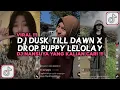 Download Lagu DJ DUSK TILL DAWN X DROP PUPPY LELOLAY VIRAL TIKTOK 2024