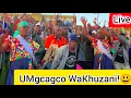 Lagu UMshado Wesizulu WaKhuzani Owenzeka Manje ENkandla!