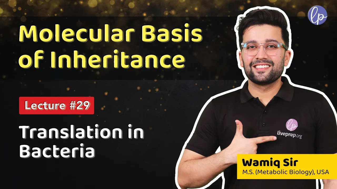Translation (Protein Biosynthesis in Bacteria) - Molecular Basis of Inheritance by Wamiq Sir