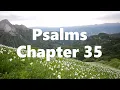 The Book of Psalms Chapter 35 - New King James Version NKJV