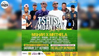 team sebenza thanqonqo