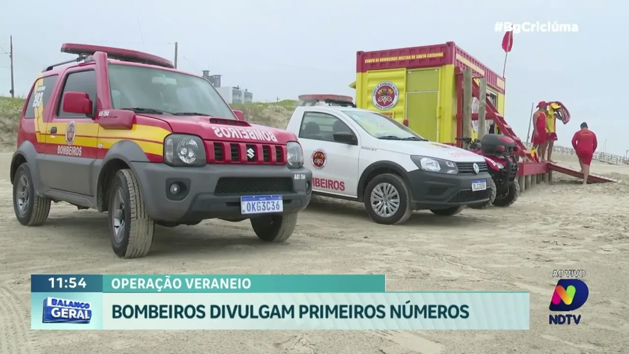 Alerta nas Praias: ocorrências com águas-vivas preocupam no primeiro relatório da Operação Veraneio