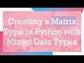 Creating a Matrix Type in Python with Mixed Data Types