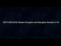 AES-GCM Encrypt and Decrypt in C NET 9