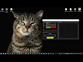 QT C Client