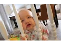Download Lagu How to Trap a Baby
