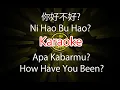 Download Lagu Ni Hao Bu Hao - 你，好不好 - How Have You Been - Karaoke - Terjemahan - Lyrics - Lirik
