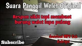 suara panggil walet mp3 cepat menginap original spc 99
