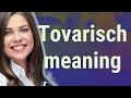 Tovarisch meaning of Tovarisch