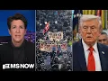 Lagu Maddow: Trump in retreat as disastrous anti-immigrant campaign becomes political catastrophe