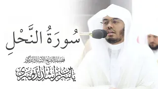 سورة النحل ياسر الدوسري بدون اعلانات 