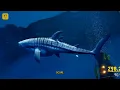 Deep ocean compared famous places: The 11km mistake