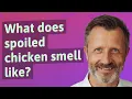 What does spoiled chicken smell like
