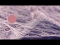 THESIS 06 - Sophie Hutchings & Julia Kent
