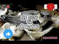 Lagu Suara Burung Walet ‼️ Sp 2026 Vs Inap Akau