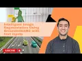 Grounding Dino SAM2 for Image Segmentation with Text Inputs