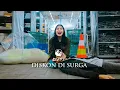 Download Lagu Diskon di Surga (Parodi NOAH - Bintang di Surga)