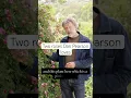 Download Lagu Discover two roses growing at Dan Pearson’s beautiful Hillside garden #roses
