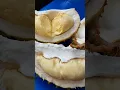 Download Lagu festival duren di desa naku, kota Ambon