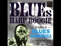 Sonny Boy Williamson - Your Funeral And My Trial