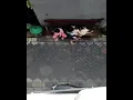Download Lagu Viral!!! Balita dianiaya topeng monyet di daerah tanjung sari,Surabaya barat