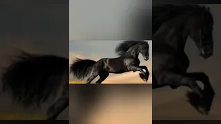 مجاجي          تهلاي فالعسكري وراكي رابحة دندنها