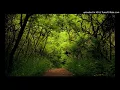 Download Lagu Swami  - Nyanyian Jiwa