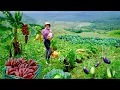 Download Lagu Country Girl Harvest: Korean Radishes, Eggplants,Cabbages, Red Bananas – Cook, Garden, Raise Animals