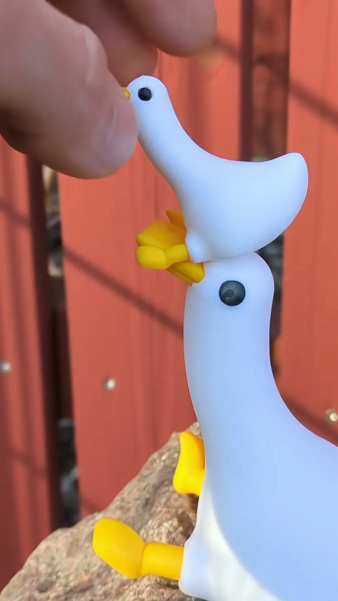 Buck the Wingless Duck // Rejected Animals