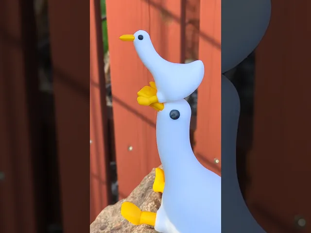 Buck the Wingless Duck // Rejected Animals video thumbnail