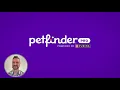 Get the Most Out of Petfinder Pro