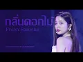Lagu Freen Sarocha - กลิ่นดอกไม้ @ 230814 WONDER TULIP GARDEN