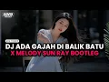 Lagu DJ ADA GAJAH DI BALIK BATU (WALI BAND) X SUN RAY BOOTLEG | ANR OFFICIAL VIDEO 2025!!