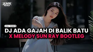 dj ada gajah di balik batu wali band x sun ray bootleg anr official video 2025 