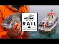 Porgy Fishing on the Blackhawk II Niantic CT At The Rail Ep 3