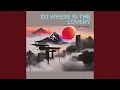 Download Lagu Dj Where Is the Lovery