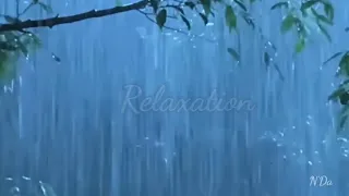 Download relaxing rain and thunder sounds for sleep MP3