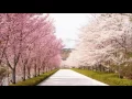 にじいろ - 絢香[BGM]Niji Iro - Ayaka(ドラマ『花子とアン』主題歌)