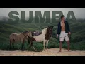 Download Lagu Sumba Indonesia - The Secret Wild Horse Paradise 😍🇮🇩🌴