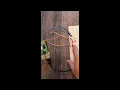 Control Multiple LEDs with a Button on Raspberry Pi 5 using Python