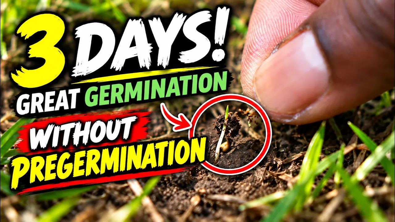 3 Day Germination Results WITHOUT Pre-Germinating Grass Seed: video thumbnail