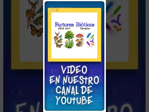 Factores bióticos de los #ecosistemas 🦁🌿 #shorts #biología #ciencia #fyp #short #factoresbióticos